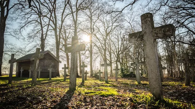 In Emily Dickinson's "I Died for Beauty," two souls who pursued beauty and truth in human life, find kinship in death's embrace.