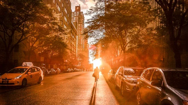 In "Letter to NY" Elizabeth Bishop writes a heartfelt letter to a friend in NYC, exploring urban experiences and longing for connection.