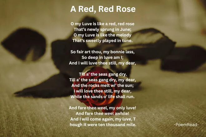 Dive into the poetic world of Robert Burns with "A Red, Red Rose." Experience the passion, depth, and beauty of love in this timeless masterpiece.