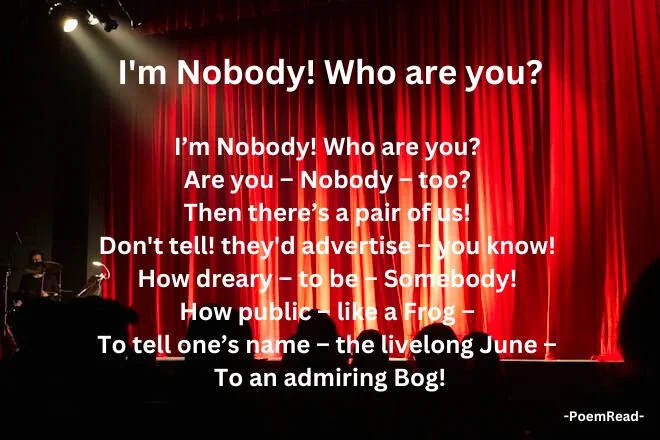 Join us as we dissect Emily Dickinson's "I'm Nobody! Who are you?" with our comprehensive analysis. Discover its commentary on identity and fame.