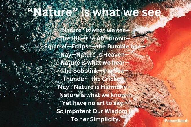 Journey into Emily Dickinson's "Nature is what we see" poem, exploring its contemplative nature and innovative structure. Discover its depth and meaning.