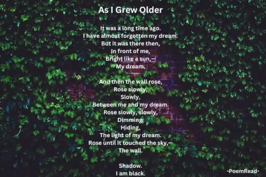 “As I Grew Older” by Langston Hughes: An Analysis - PoemRead