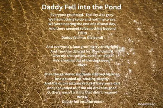 “daddy Fell Into The Pond” A Complete Analysis Poemread