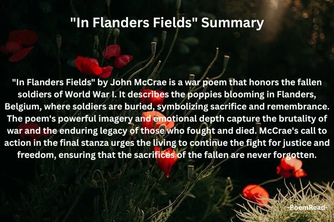 Uncover the enduring legacy of "In Flanders Fields" by John McCrae. Explore its themes of sacrifice and remembrance in our analysis.