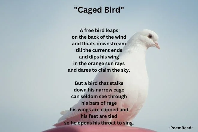 Explore Maya Angelou's "Caged Bird" analysis, uncovering themes of freedom, racial oppression, resilience, and empowerment.
