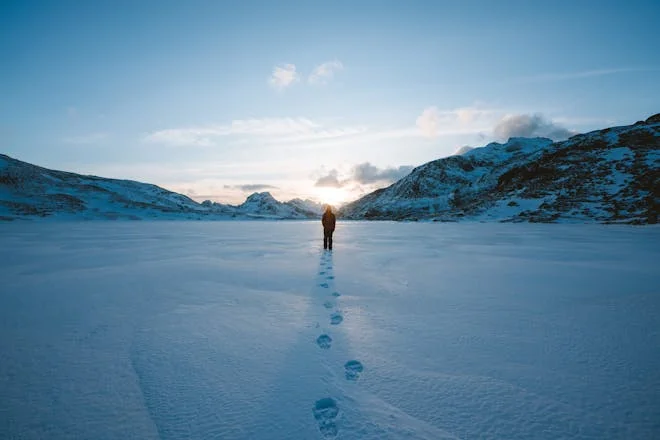 David Berman's "Snow" captures innocence and fantasy in a snowy walk, exploring themes of childhood curiosity and life's complexities in a reflective narrative.