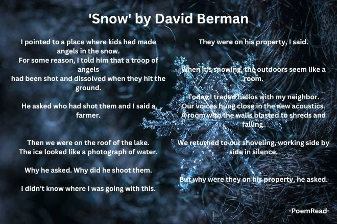 David Berman's "Snow" captures innocence and fantasy in a snowy walk, exploring themes of childhood curiosity and life's complexities in a reflective narrative.