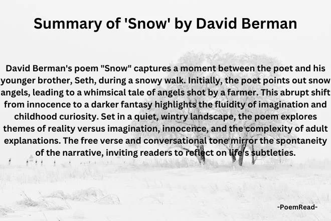 David Berman's "Snow" captures innocence and fantasy in a snowy walk, exploring themes of childhood curiosity and life's complexities in a reflective narrative.