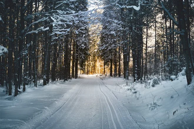 Stopping by Woods on a Snowy Evening An Analysis