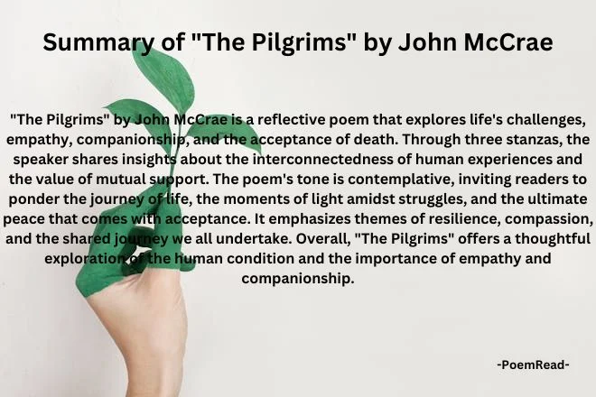 Experience the emotional journey of "The Pilgrims" by John McCrae, a poetic reflection on life's challenges, shared burdens, and moments of clarity.