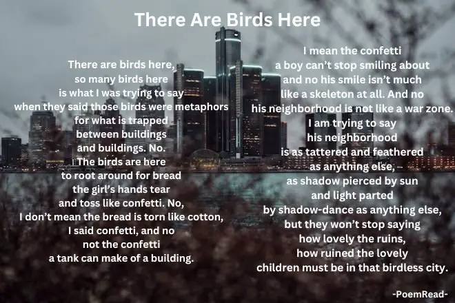 Jamaal May's "There Are Birds Here" challenges stereotypes about city life, celebrating resilience and beauty in urban communities.