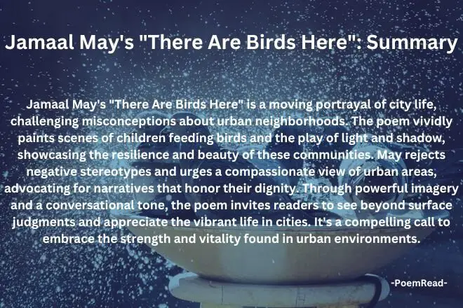 Jamaal May's "There Are Birds Here" challenges stereotypes about city life, celebrating resilience and beauty in urban communities.