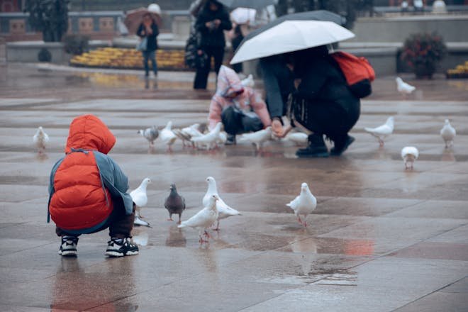 Jamaal May's "There Are Birds Here" challenges stereotypes about city life, celebrating resilience and beauty in urban communities.