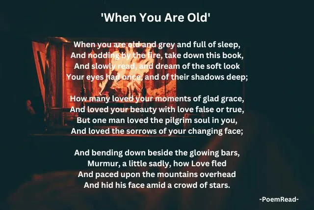 Yeats' "When You Are Old" reflects on love, aging, and regret, exploring fleeting beauty and the lasting impact of true love lost to time.